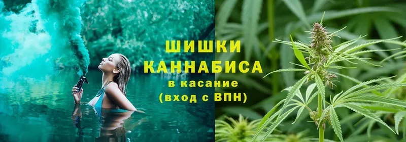 Марихуана SATIVA & INDICA  нарко площадка какой сайт  Грязи  цена  